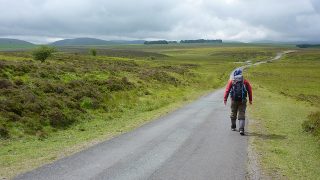 Man walking through countryside